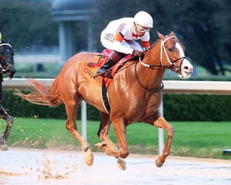 Valentine Candy wins the 2024 Ozark Stakes at Oaklawn Park