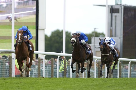Gold Cup Winner, Remedy Horse Papineau Dies at 24 Gold Cup Winner, Remedy Horse Papineau Dies at 24