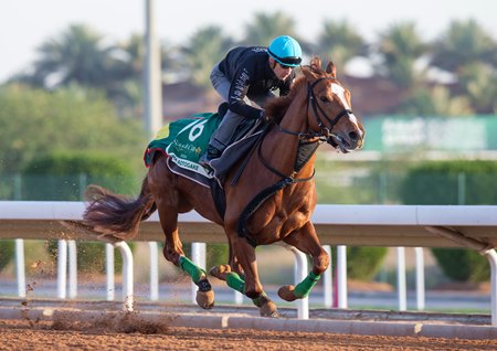 Trainer Hidetaka Otonashi says Derma Sotogake appears to be training well in advance of the Saudi Cup despite a travel incident