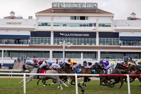 Racing at Gulfstream Park