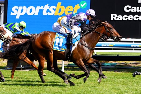 Hayasugi wins the 2024 Blue Diamond Stakes at Caulfield Racecourse