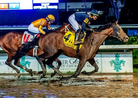 Sierra Leone wins the Risen Star Stakes at Fair Grounds Race Course
