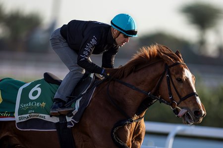 Derma Sotogake working at King Abdulaziz Racecourse