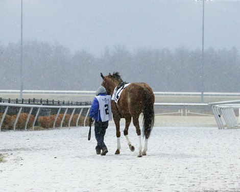 Turfway Park Cancels Friday Card