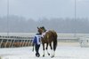 Turfway Park - Scenics - Snow - 02/16/24