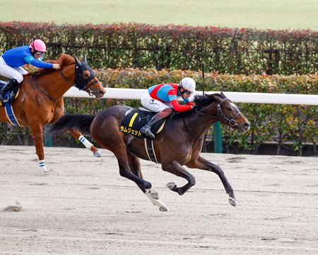 Ramjet wins the 2024 Hyacinth Stakes, a points race on Japan's Road to the Kentucky Derby, at Tokyo Racecourse