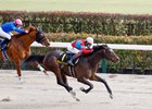 Ramjet wins the Hyacinth Stakes on Sunday, February 18, 2024 at Tokyo Racecourse