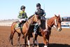 Flying Connection wins the 2024 Harry Henson Handicap at Sunland Park