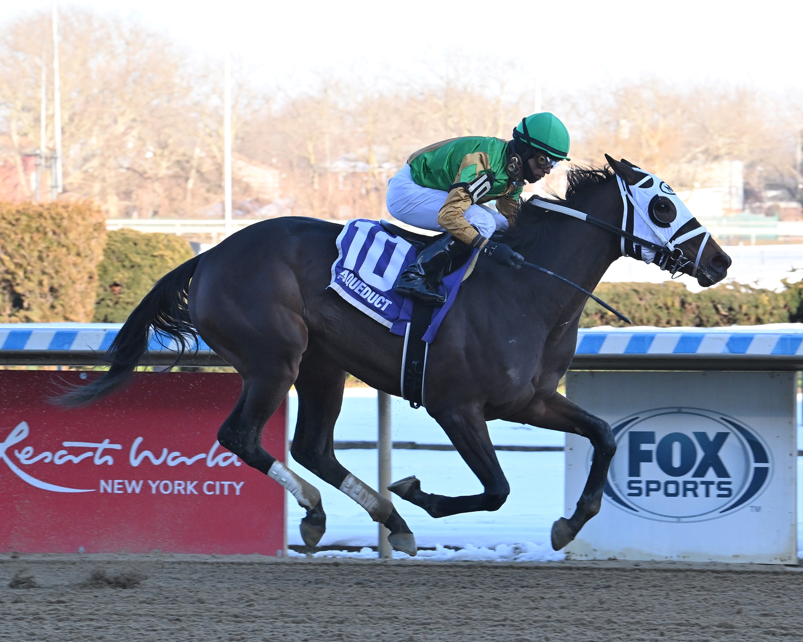 My Mane Squeeze - Horse Profile - BloodHorse