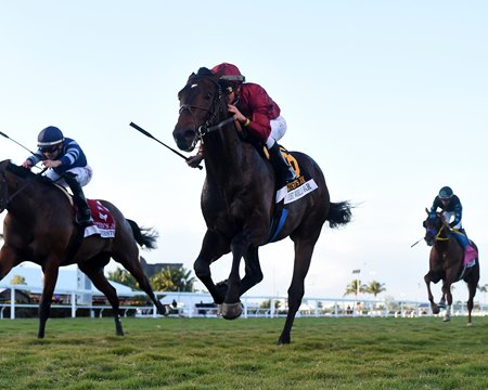 First World War wins the Kitten's Joy Stakes at Gulfstream Park