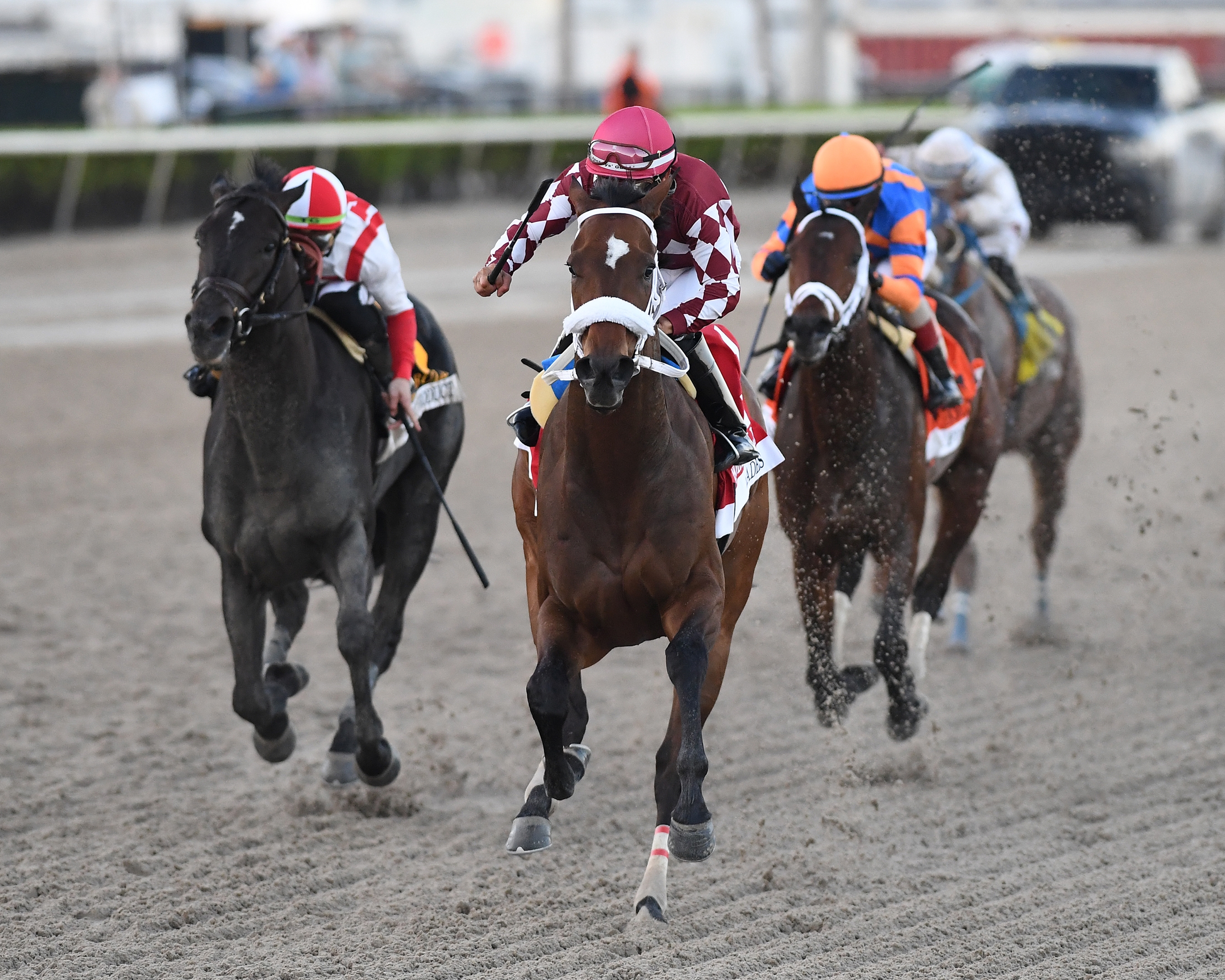 Hades Repels Champion Fierceness To Win Holy Bull - BloodHorse