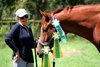 Joanne McNamara with her horse Mojo after a show in Florida