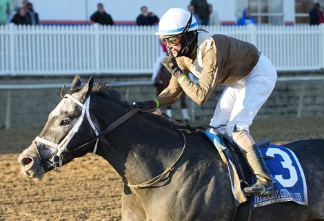 Post Time Named 2024 Maryland-bred Horse of the Year