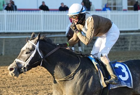 Post Time wins the 2024 General George Stakes at Laurel Park