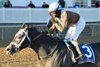 Post Time wins the 2024 General George Stakes at Laurel Park