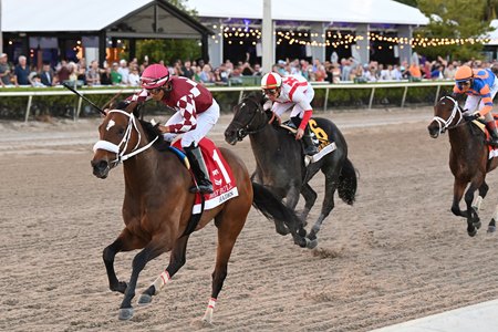 Hades defeats Domestic Product in the Holy Bull Stakes at Gulfstream Park