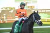 No More Time wins the Sam F. Davis Stakes on Saturday, February 10, 2024 at Tampa Bay Downs