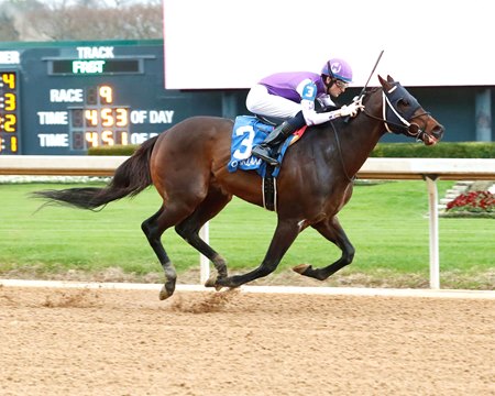 Harlocap wins an allowance race in 2024 at Oaklawn Park