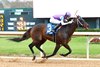 Harlocap, ALW, Oaklawn Park, February 16 2024