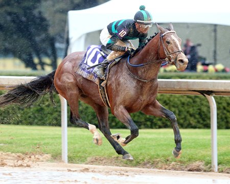 Mystik Dan wins the Southwest Stakes at Oaklawn Park