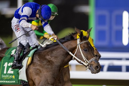 Senor Buscador wins the 2024 Saudi Cup at King Abdulaziz Racecourse