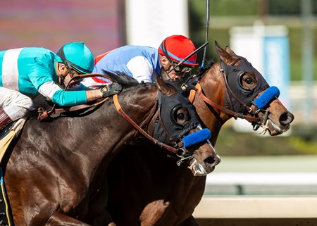 Maymun (inside) edges Imagination in a duel to the wire in an allowance race at Santa Anita Park