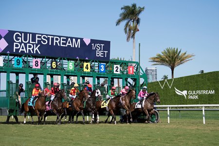 Racing at Gulfstream Park