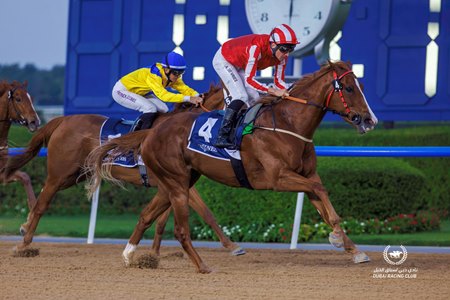 Louisiana-bred Manama Gold wins the UAE Oaks at Meydan Racecourse