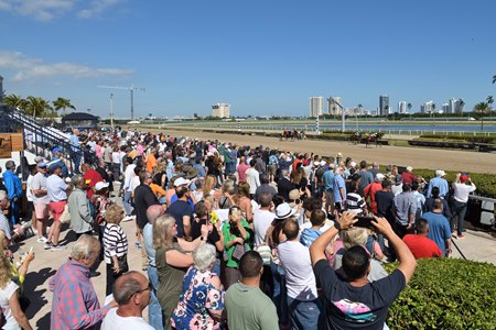 Racing at Gulfstream Park