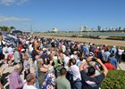 2024 Holy Bull Day, Gulfstream Park, February 3 2024