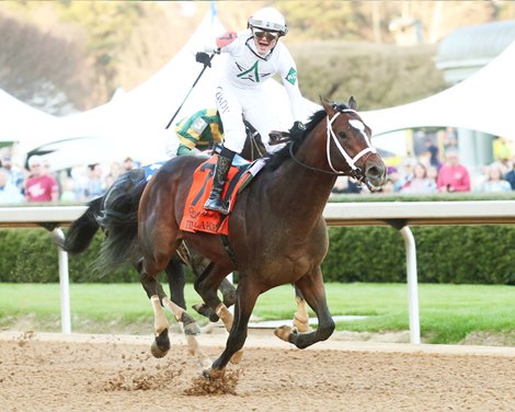 Half Sister to Timberlake Among Keeneland Supplements