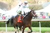 Timberlake wins the 2024 Rebel Stakes at Oaklawn Park