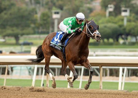 Three Witches wins the Santa Monica Stakes at Santa Anita Park