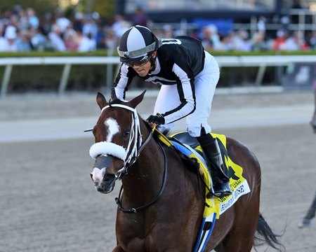 R Harper Rose wins the 2024 Forward Gal Stakes at Gulfstream Park