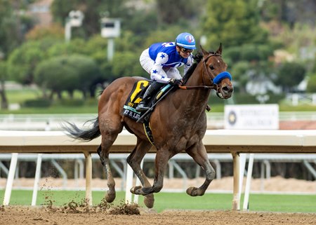 Nysos wins the 2024 Robert B. Lewis Stakes at Santa Anita Park