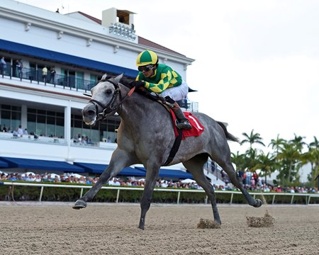 Top Conor breaks his maiden impressively Feb. 17 at Gulfstream Park 
