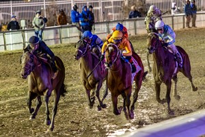 Key Kentucky Derby prep races, such as the Risen Star Stakes, are conducted each year at Fair Grounds Race Course in Louisiana
