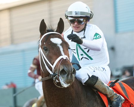Timberlake after his victory in the Rebel Stakes at Oaklawn Park