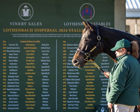 Michigan Horse Lovers: Free Horses Await! Find Yours Now! - bkd4bmd