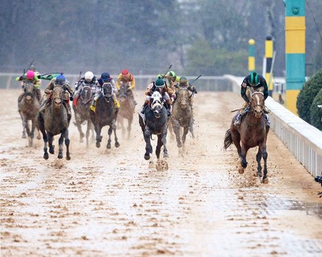 ABR: Which Preakness Runners Should Relish a Wet Track?
