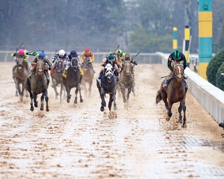 Mystik Dan romps over Just Steel in the mud in the Southwest Stakes at Oaklawn Park