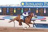 Honky Tonk Honey wins the 2024 New Mexico Breeders&#39; Oaks at Sunland Park