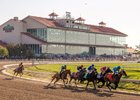 3/23/2024 - The field for the Fair Grounds Oaks make their way through the first turn. Hodges Photography / Kylie Wellington