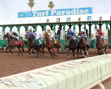 Racing at Turf Paradise
