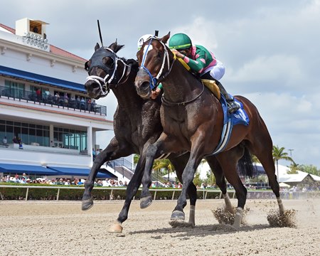 Dilger (inside) scores a narrow maiden win at Gulfstream Park