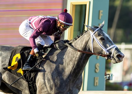 Sweet Azteca wins the B. Wayne Hughes Beholder Mile Stakes at Santa Anita Park
