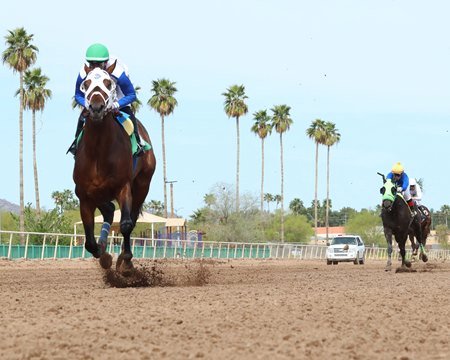 Racing at Turf Paradise from earlier this year