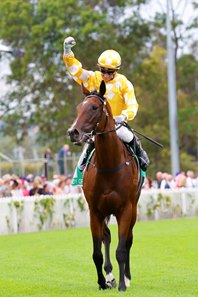 Lady Of Camelot after her victory in the 2024 Golden Slipper Stakes at Rosehill Gardens Racecourse