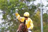 Lady Of Camelot wins the 2024 Golden Slipper Stakes at Rosehill Gardens
ridden by Blake Shinn and Trained by Gai Waterhouse &amp; Adrian Bott
