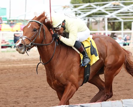 E J Won the Cup wins the Turf Paradise Derby at Turf Paradise